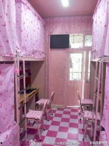 郑州爆料搬宿舍视频最新,搬宿舍视频引发热议，校园生活新篇章开启  第2张